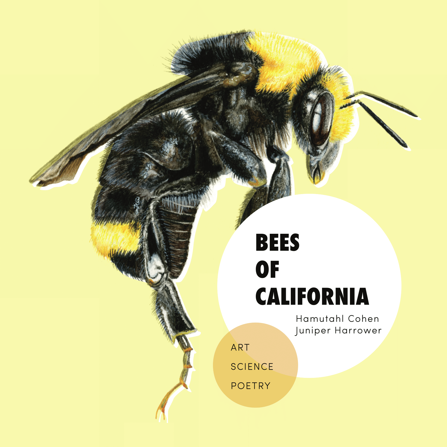 cover of the bees of california