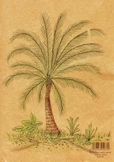 a sketch of a palm tree