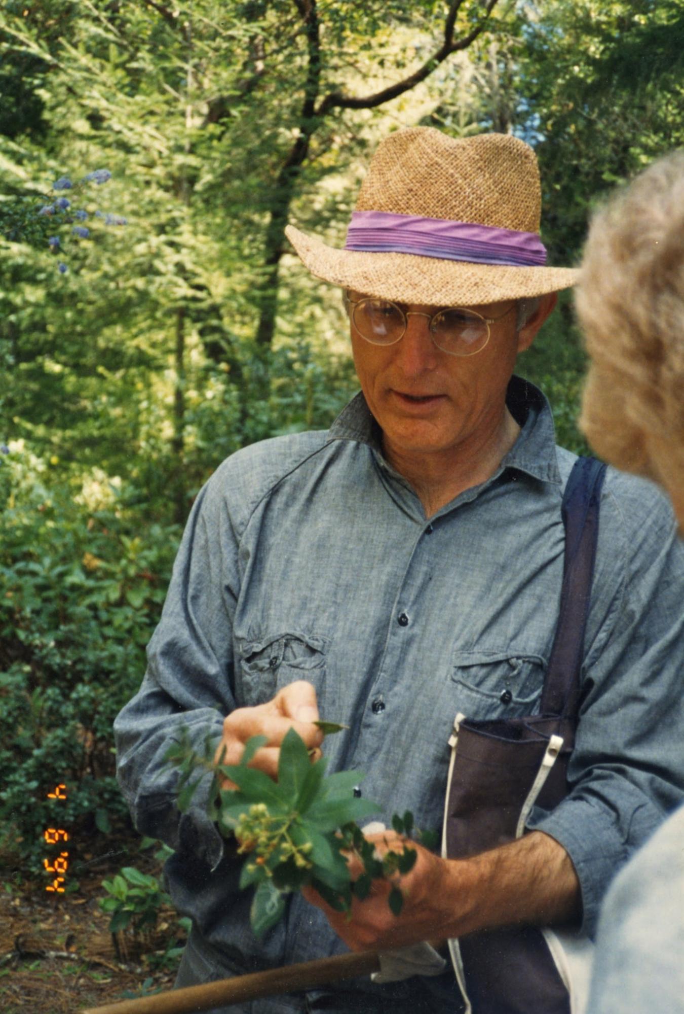 randy morgan examining a plant