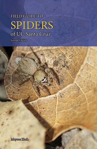 Book cover of the spiders of UCSC