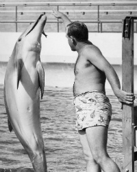 Ken Norris at Marine Land 1954