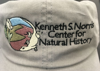 Norris Center hat