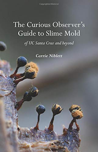 cover of the slime molds book
