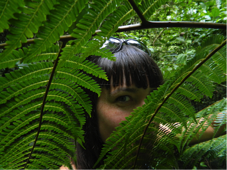 juniper hiding behind ferns