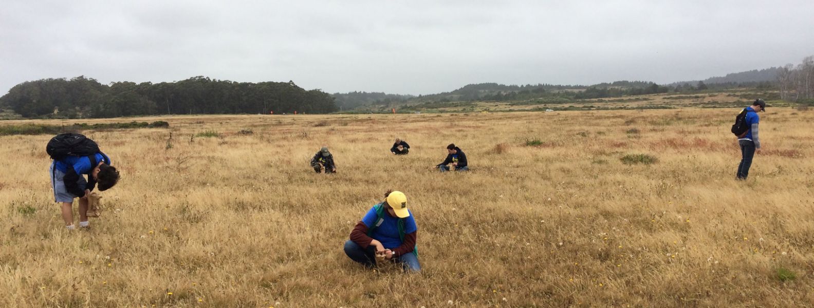 students working in a younger lagoon prairie