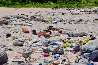lots of plastic and trash on a beach.