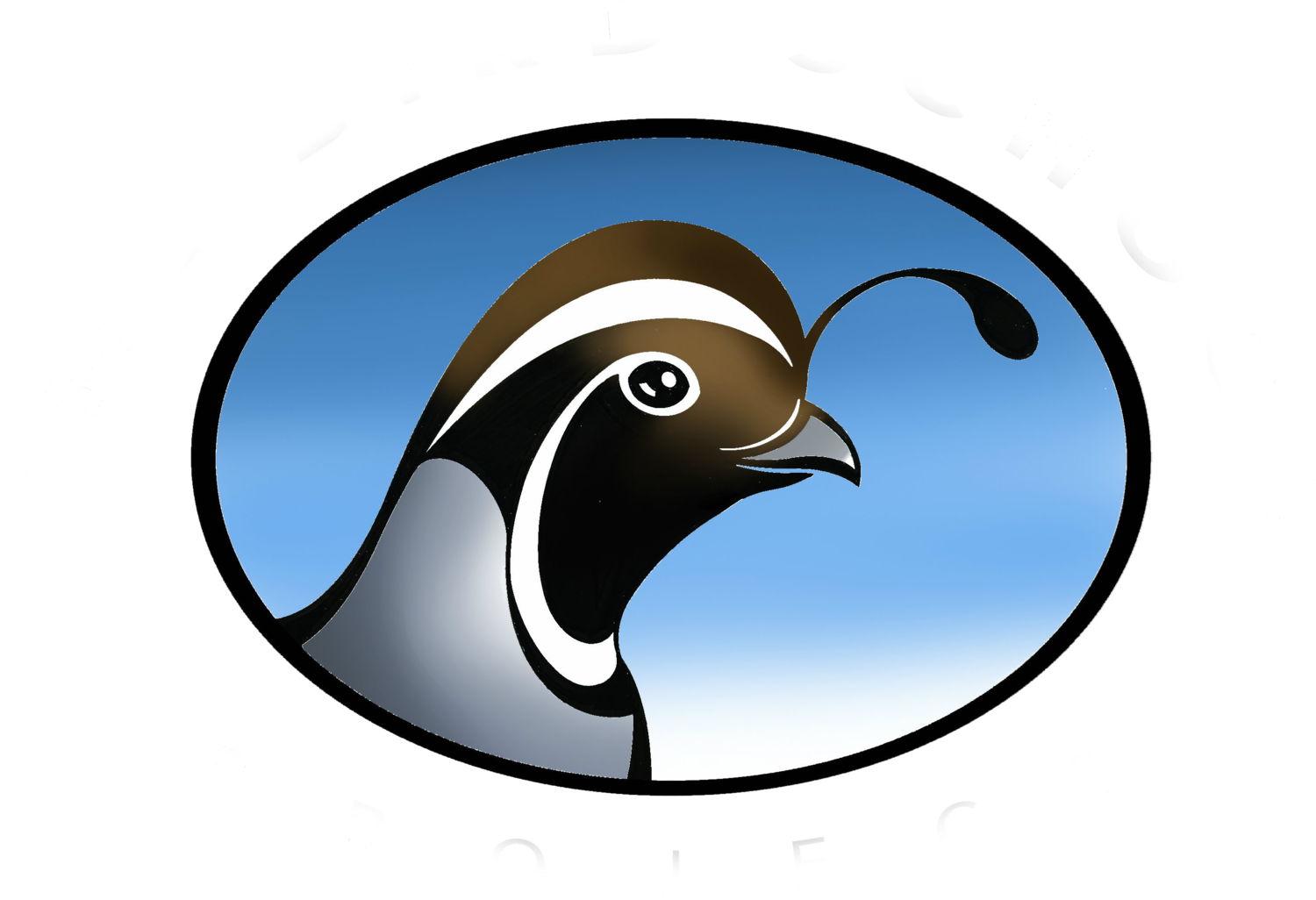 bird school project logo