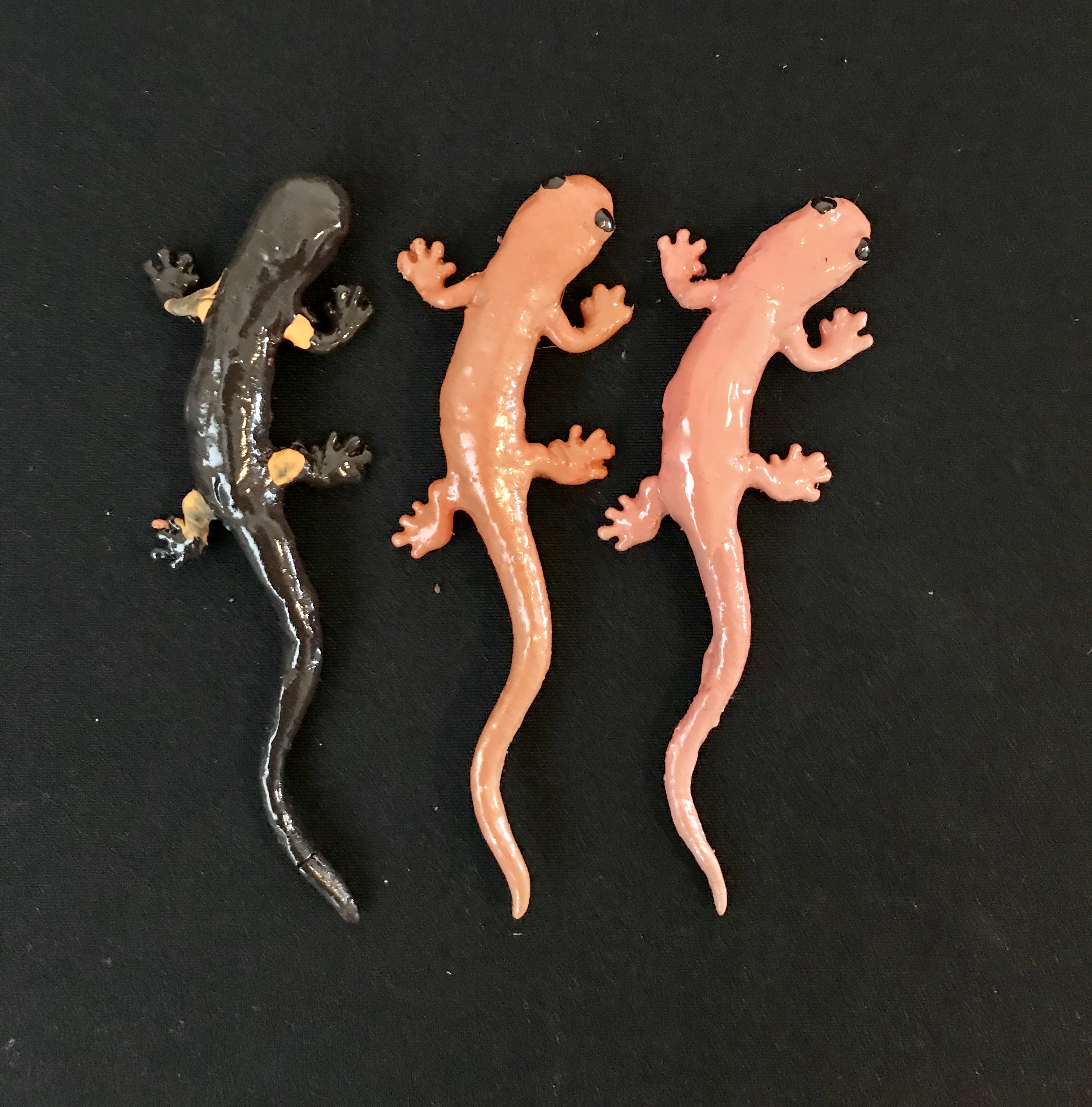 clay model salamanders