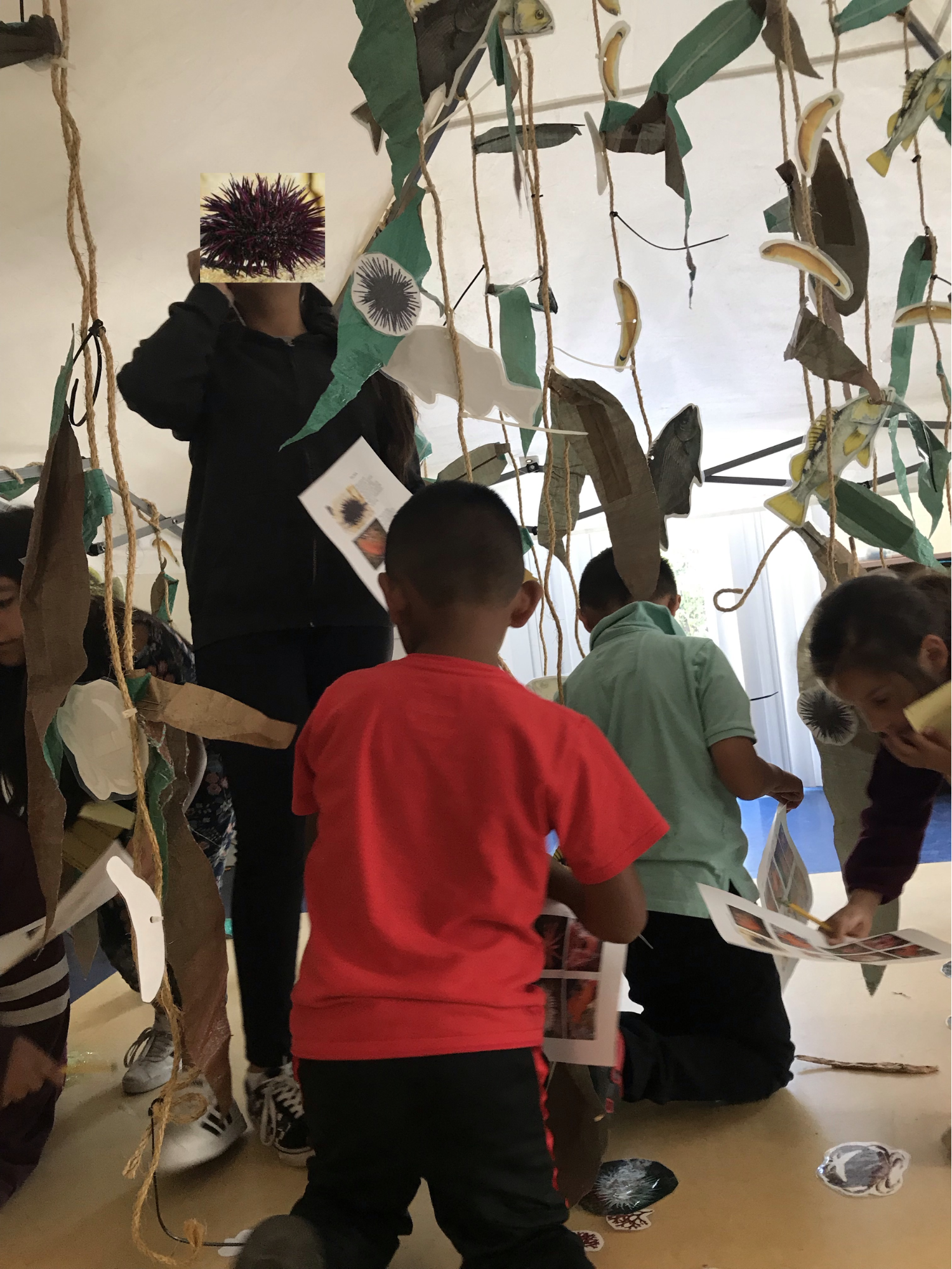 students exploring a pop-up kelp forest